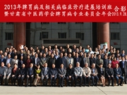 科室主办的2013脾胃病会议合影