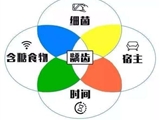 龋齿