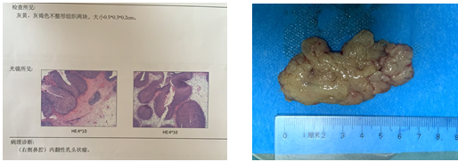 202009231116068950.png 202009231116068950.png