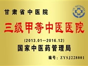 三级甲等中医医院
