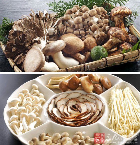 菌类