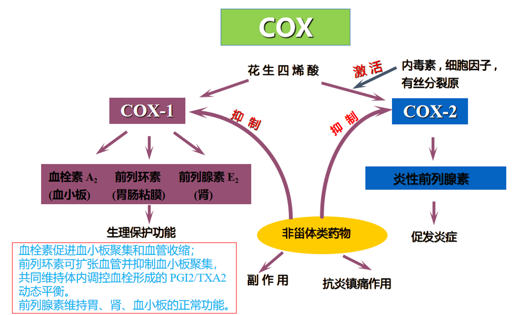图片8