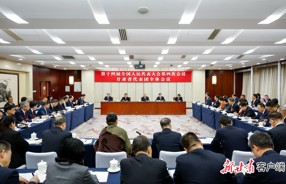 甘肃代表团审议政府工作报告 李鸿忠胡昌升任振鹤参加审议