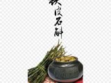 铁皮石斛